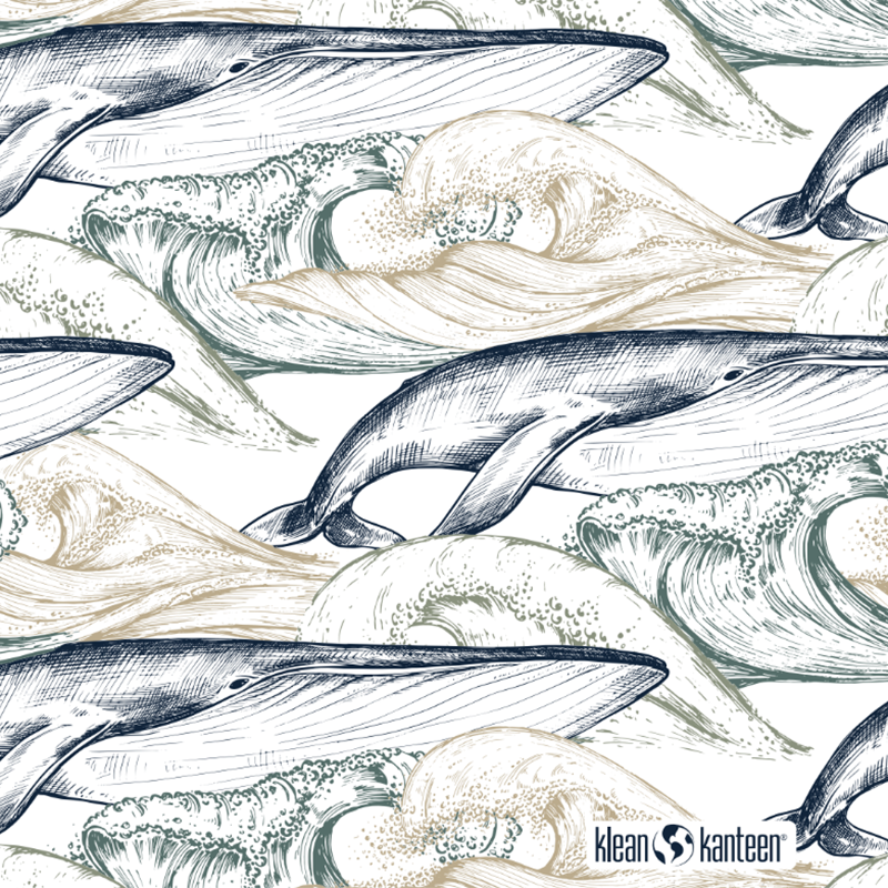 20oz-tkwide-with-twist-cap-ocean-day-b7 20oz_tkwide_bottle_seasonal_ocean_day_whale_artwork_square.png